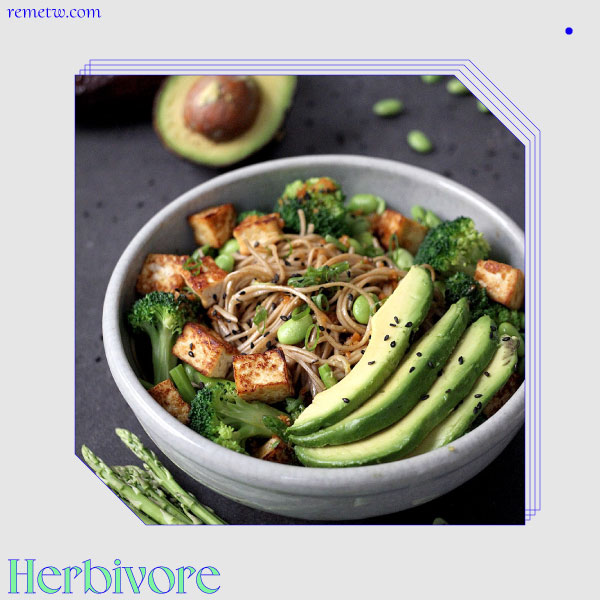 台北蔬食/素食便當推薦：herbivore vegan料理