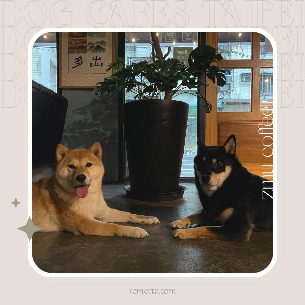 台北狗狗咖啡廳推薦－此木咖啡