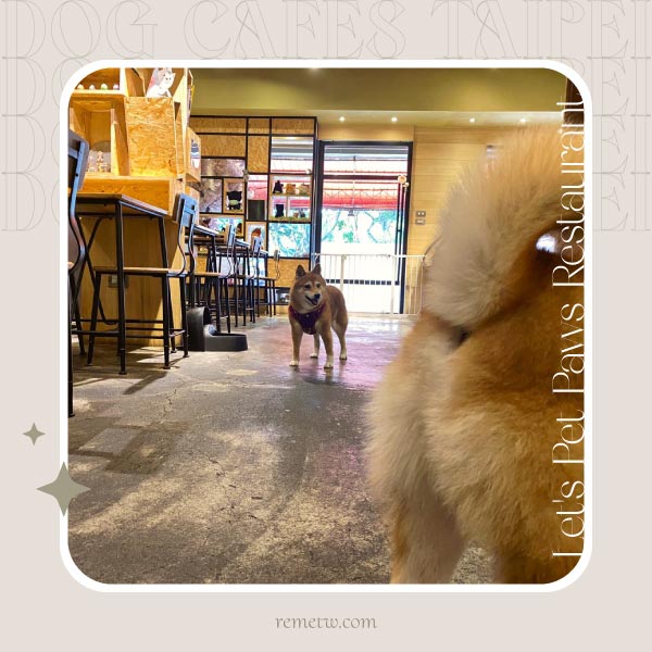 台北狗狗咖啡廳推薦－捲尾巴寵物餐廳