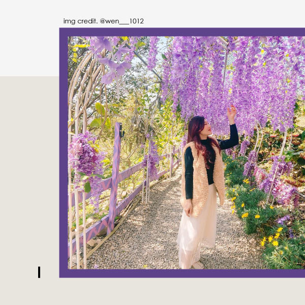 2021紫藤花景點打卡四#噢哈娜咖啡屋