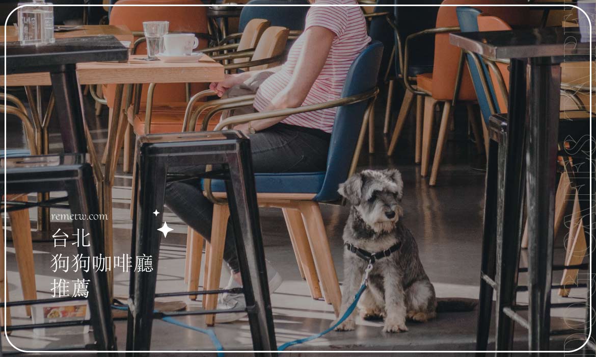 台北狗狗咖啡廳推薦：近距離接觸毛孩超療癒，萌犬陪吃陪玩更有趣！
