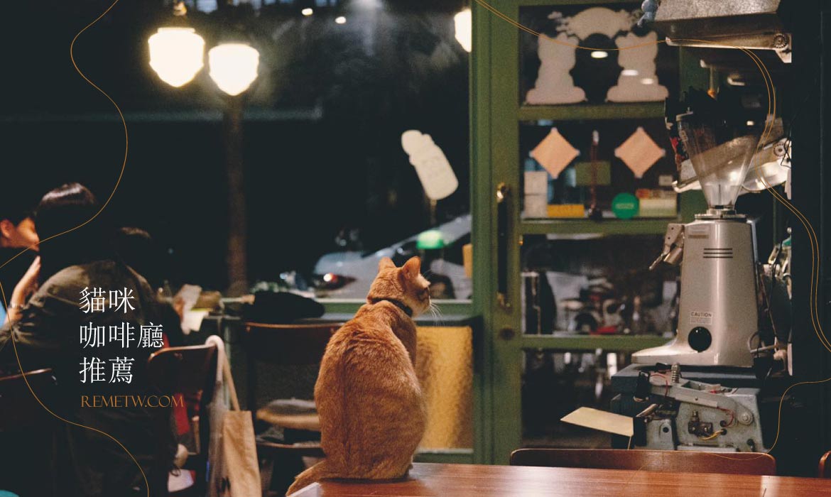 貓咪咖啡廳推薦！貓奴必訪的特色餐廳，北中南貓咖地圖快標記